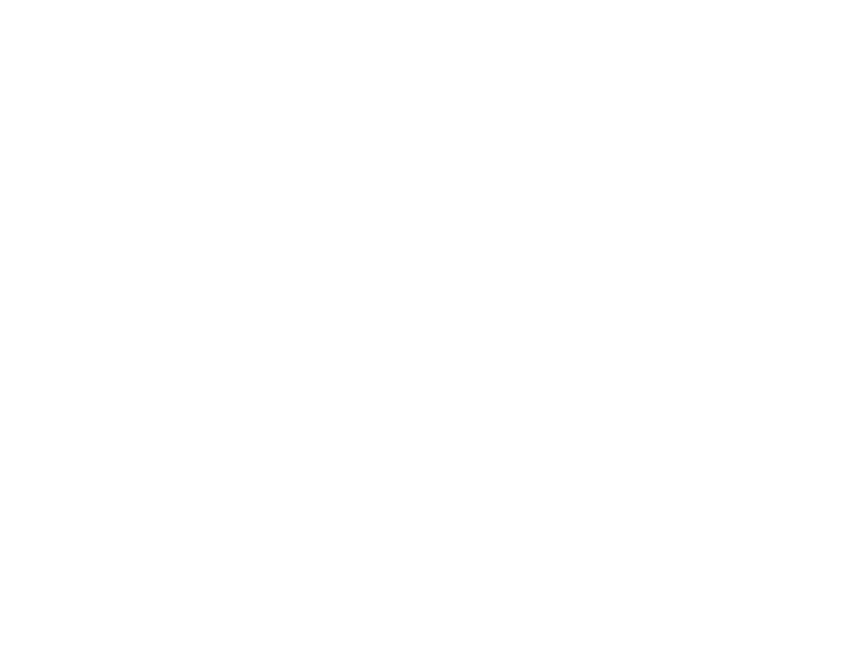 biregu_logo_white21